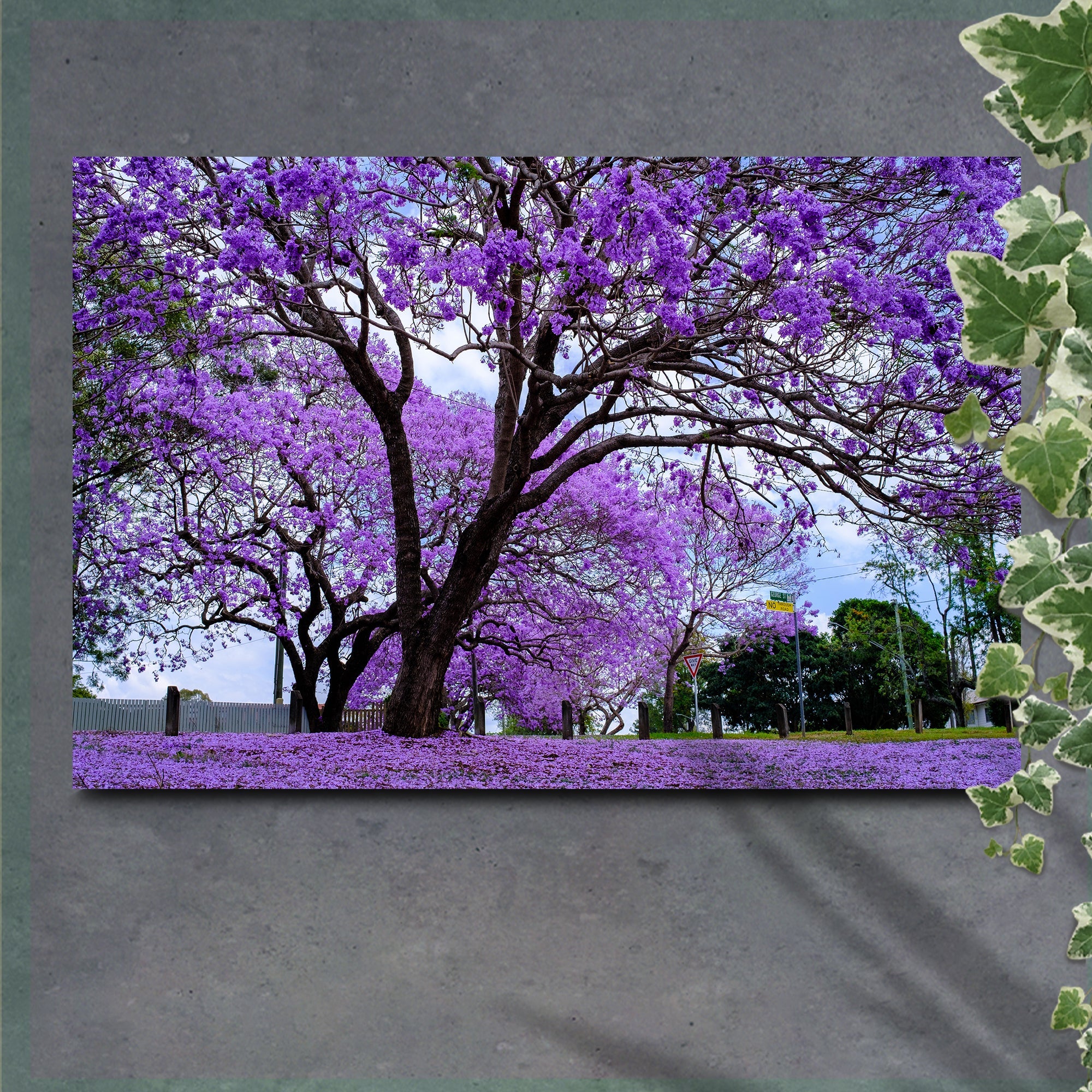 Jacaranda Trees Canvas Wall Art - UNIQUE ITEMS PLUS2