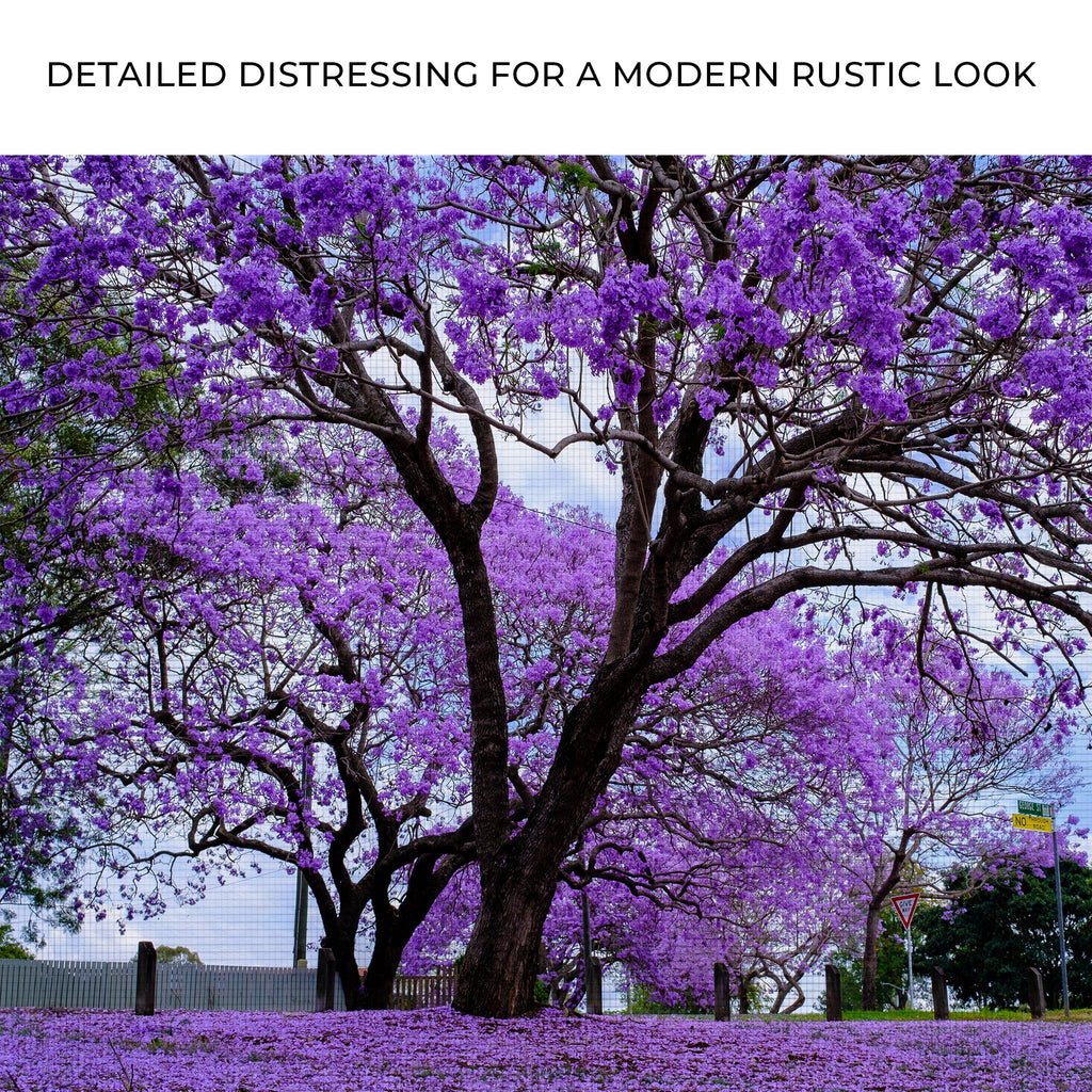 Jacaranda Trees Canvas Wall Art - UNIQUE ITEMS PLUS2