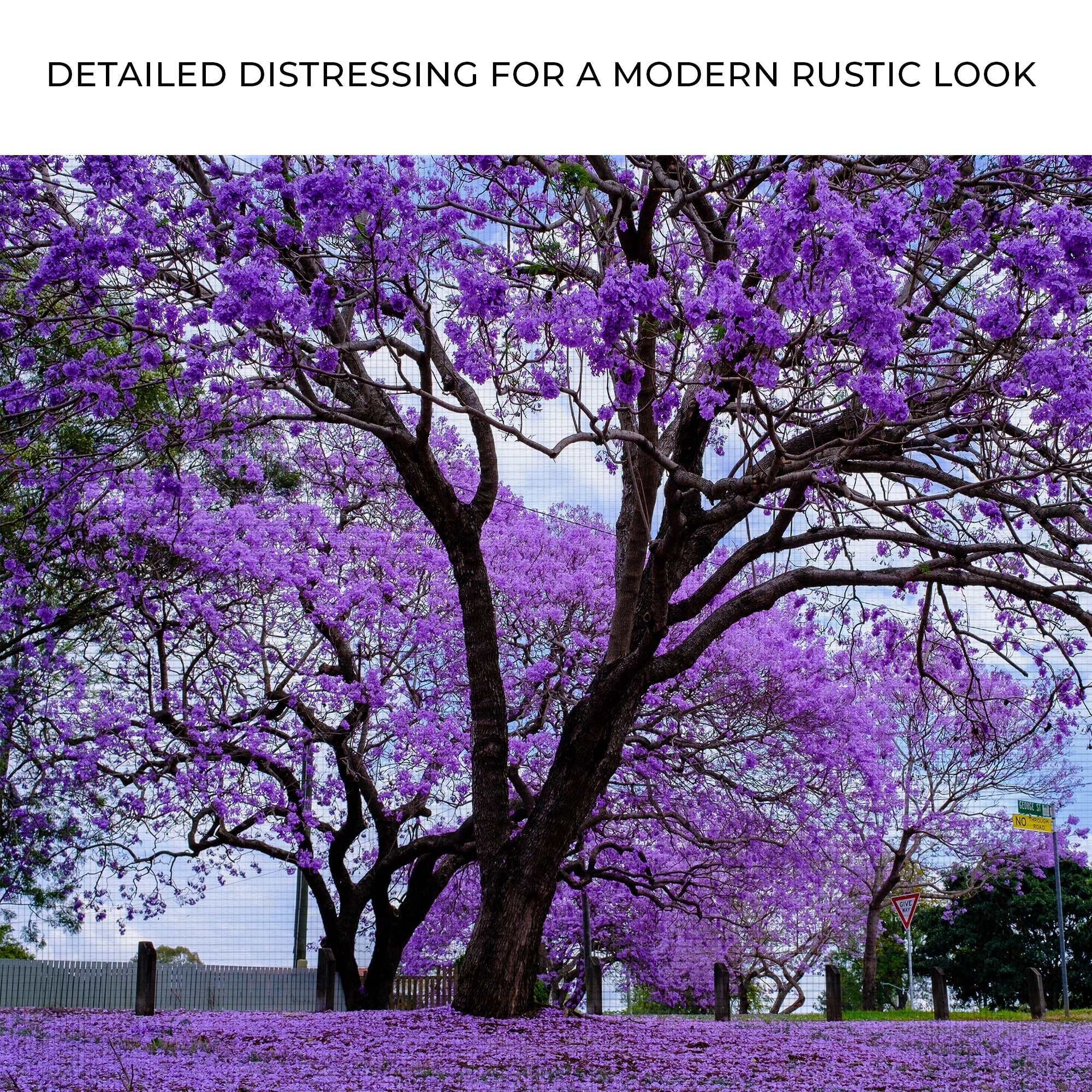 Jacaranda Trees Canvas Wall Art - UNIQUE ITEMS PLUS2