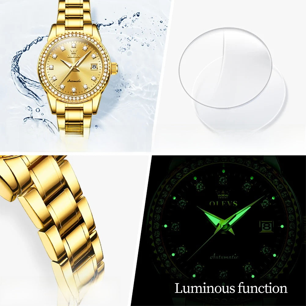 Women's Automatic Mechanical Diamond Dial Stainless Watch BandsCo Straps
